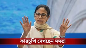 সবচেয়ে বেশি লিড পাওয়া ওয়ার্ডে SIR-কারচুপি দেখছেন মমতা