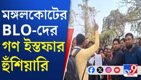 গণ-ইস্তফার হুঁশিয়ারি! কমিশনে ডেপুটেশন জমা ২৩৬টি বুথের BLO-র