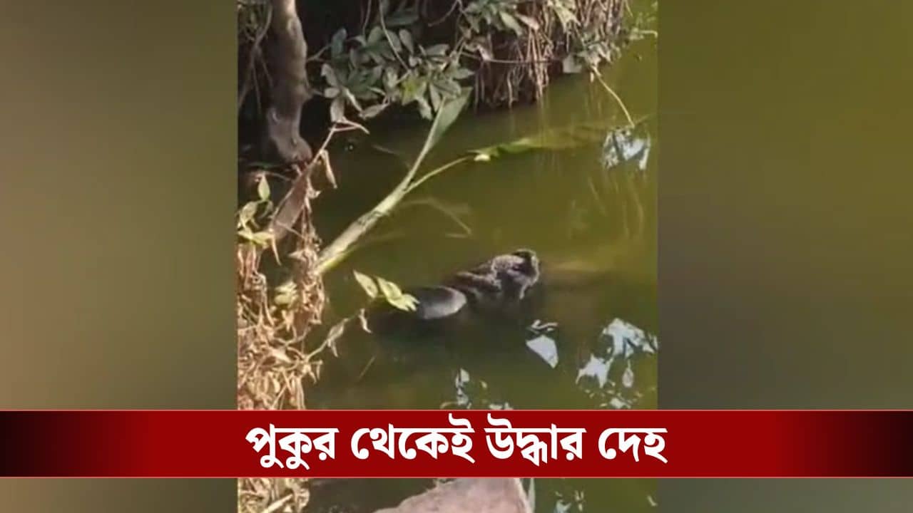 BJP Worker: ৪ দিন ধরে নিখোঁজ ছিলেন, পুকুর থেকে উদ্ধার বিজেপি কর্মীর দেহ