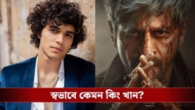 'কিং' ছবিতে কাজের সুযোগ! শাহরুখকে নিয়ে কী বললেন অভয়?
