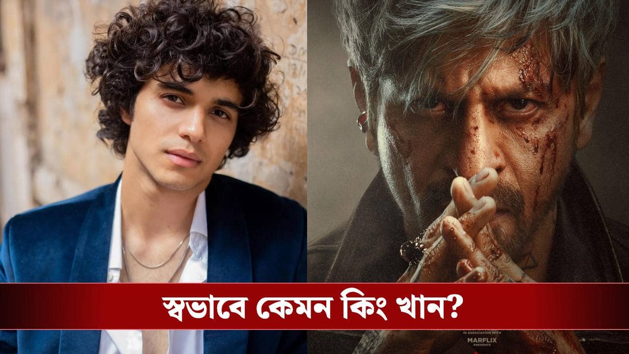 কিং ছবিতে কাজের সুযোগ! শাহরুখকে নিয়ে কী বললেন অভয়?