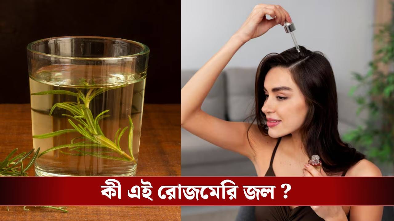 ‘রোজমেরি জল’ কী সত্যিই কমাতে পারে চুল পড়া? কী বলছে গবেষণা? ‘রোজমেরি জল’ কী সত্যিই কমাতে পারে চুল পড়া? কী বলছে গবেষণা?