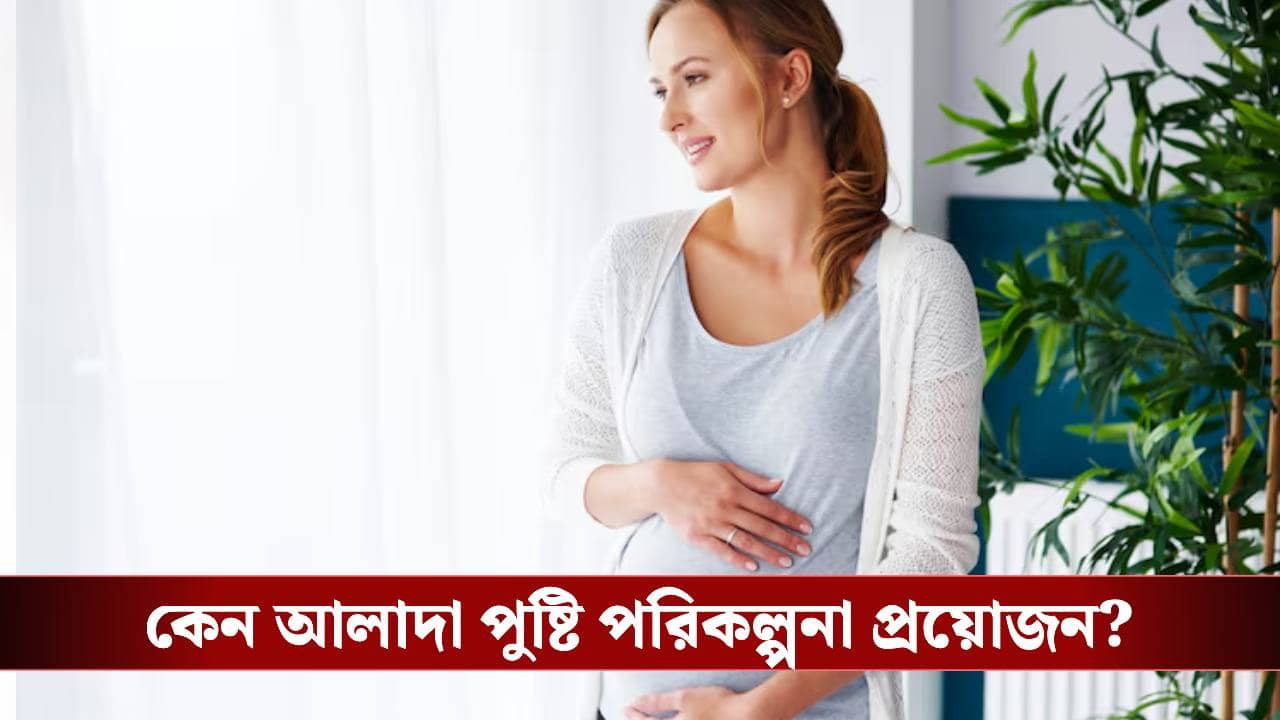 কেমন হওয়া উচিত হবু মায়েদের খাদ্যতালিকা? কী সতর্কবার্তা দিচ্ছেন চিকিৎসকরা?