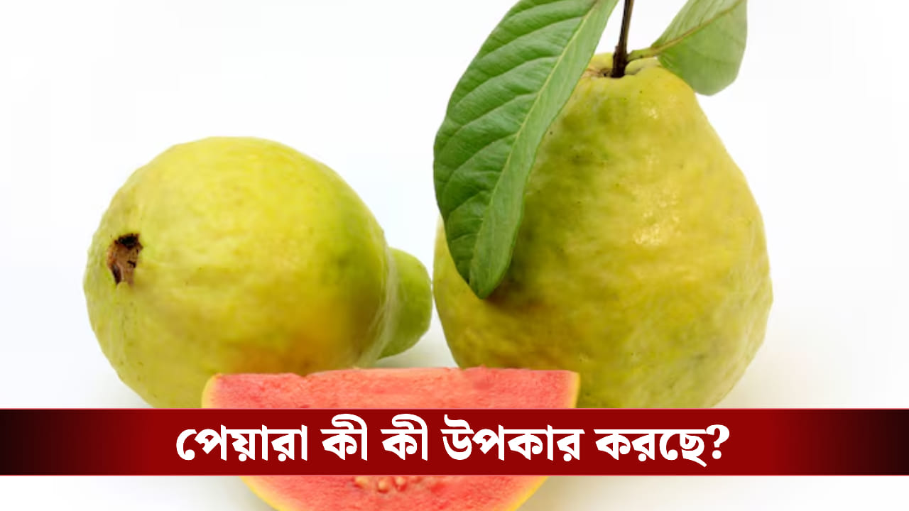 রোজ পেয়ারা খাচ্ছেন! জানেন শরীরের ভিতর কী কী ঘটছে?