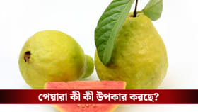 রোজ পেয়ারা খাচ্ছেন! জানেন শরীরের ভিতর কী কী ঘটছে?