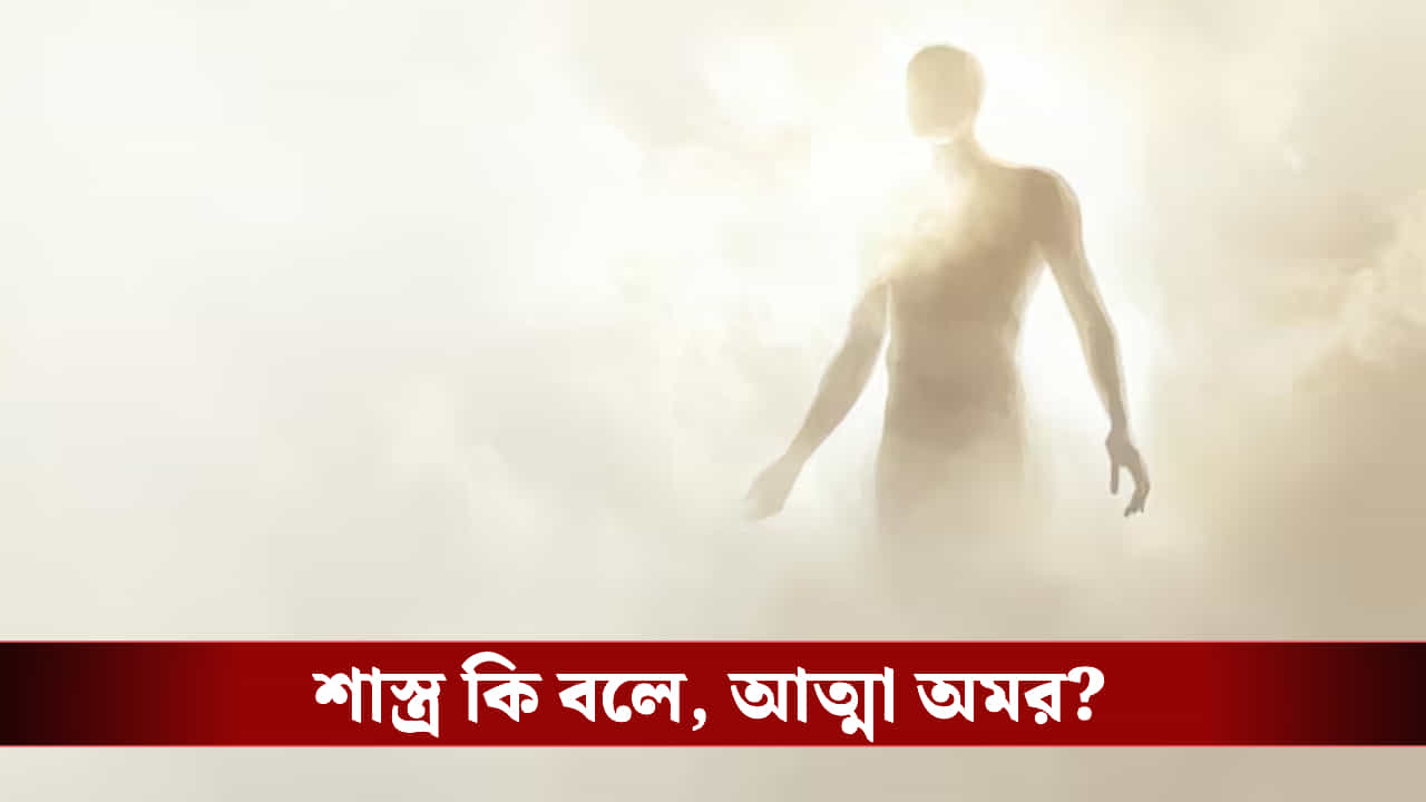 মৃত্যুর পর আত্মা কি সত্যিই থাকে? কী বলছে গবেষণা? মৃত্যুর পর আত্মা কি সত্যিই থাকে? কী বলছে গবেষণা?