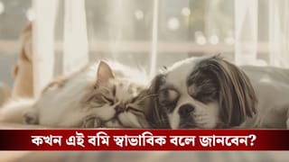 পোষ্য বার বার বমি করছে? বড় কোনও রোগের ইঙ্গিত নয় তো!