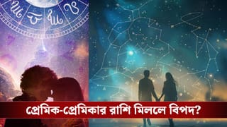 একই রাশির প্রেমিক-প্রেমিকার মধ্যে প্রেম কি জমে, বিয়েই বা টেকে কত জনের?