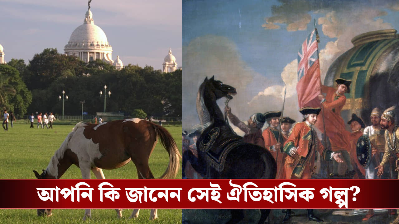 ময়দানের নীচে লুকিয়ে যুদ্ধের ইতিহাস! পলাশীর ছায়া কি আজও কলকাতায়?