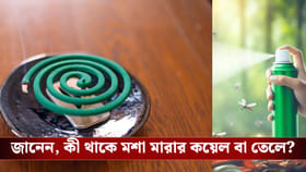 বদ্ধ ঘরে মশা মারার কয়েল বা ধূপ ব্যবহার করছেন? বিপদ!