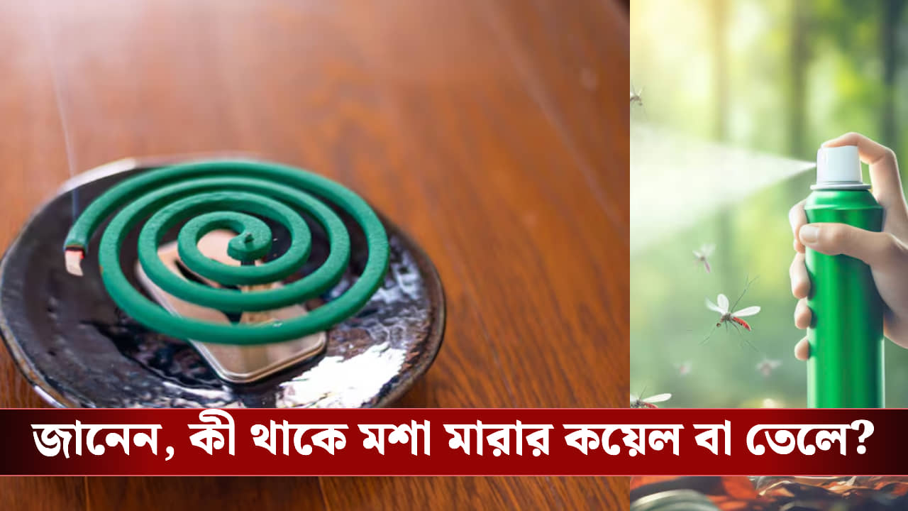 বদ্ধ ঘরে মশা মারার কয়েল বা ধূপ ব্যবহার করছেন? অজান্তে বিপদ ডাকছেন না তো!