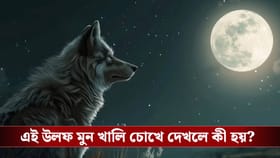 আকাশে দেখা মিলবে মহাজাগতিক ‘উলফ মুন’, জেনে নিন বিস্তারিত