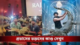 কোলে কুমির নিয়ে সিনেমা হলে দর্শক! ভিডিয়ো দেখলে তাক লেগে যাবে