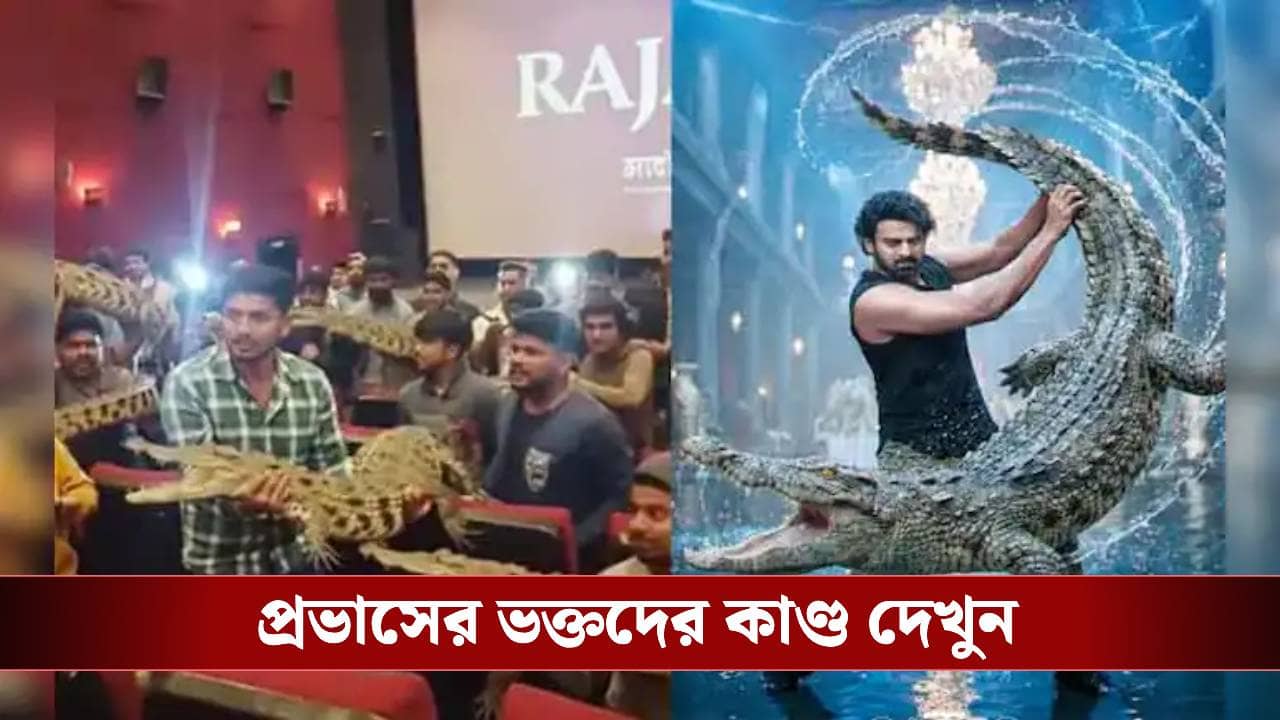 কোলে কুমির নিয়ে সিনেমা হলে দর্শক! ভিডিয়ো দেখলে তাক লেগে যাবে