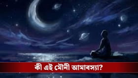 আগামী ১৮ জানুয়ারি মৌনী আমাবস্যা, ভাগ্য বদলাতে এদিন এসব অবশ্যই করুন