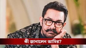 'মহাভারত' তৈরি করতে কেন ভয় পাচ্ছেন আমির খান?