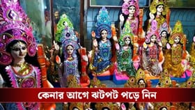 হাঁস দেখে সরস্বতী প্রতিমা কিনুন, কেমন হওয়া উচিত বাগদেবীর হংসবাহন?