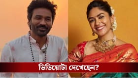 বিয়ে করে ফেললেন ধনুশ-ম্রুণাল? ভিডিয়ো ভাইরাল হতেই সামনে এল সত্যিটা