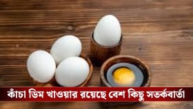 কাঁচা ডিম খেলে কি বেশি প্রোটিন মেলে? কী বলছেন বিশেষজ্ঞরা