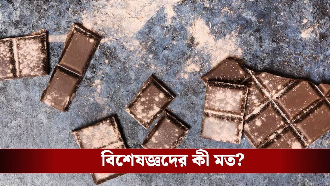 চকোলেটের গায়ে সাদা দাগ দেখেই ফেলে দেন! আসল কারণ জানেন তো? চকোলেটের গায়ে সাদা দাগ দেখেই ফেলে দেন! আসল কারণ জানেন তো?