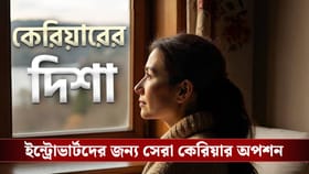 আপনি ইন্ট্রোভার্ট হলেই কেল্লাফতে! এইসব পেশায় গেলে ছক্কা হাঁকাবেন