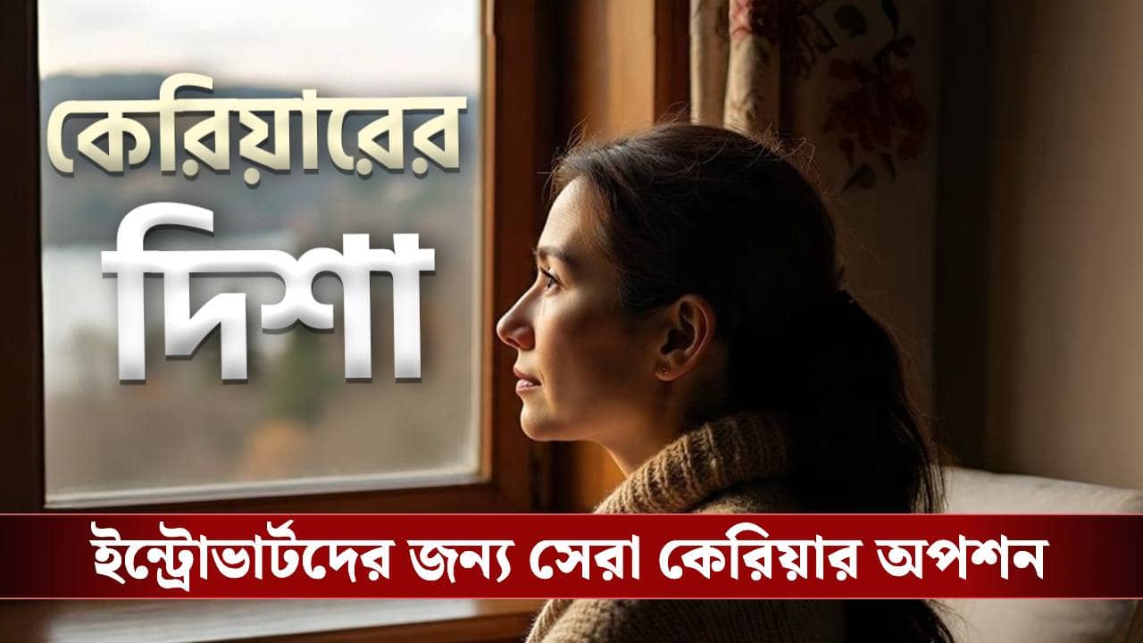 আপনি ইন্ট্রোভার্ট হলেই কেল্লাফতে! এইসব পেশায় গেলে ছক্কা হাঁকাবেন চোখ বুজে