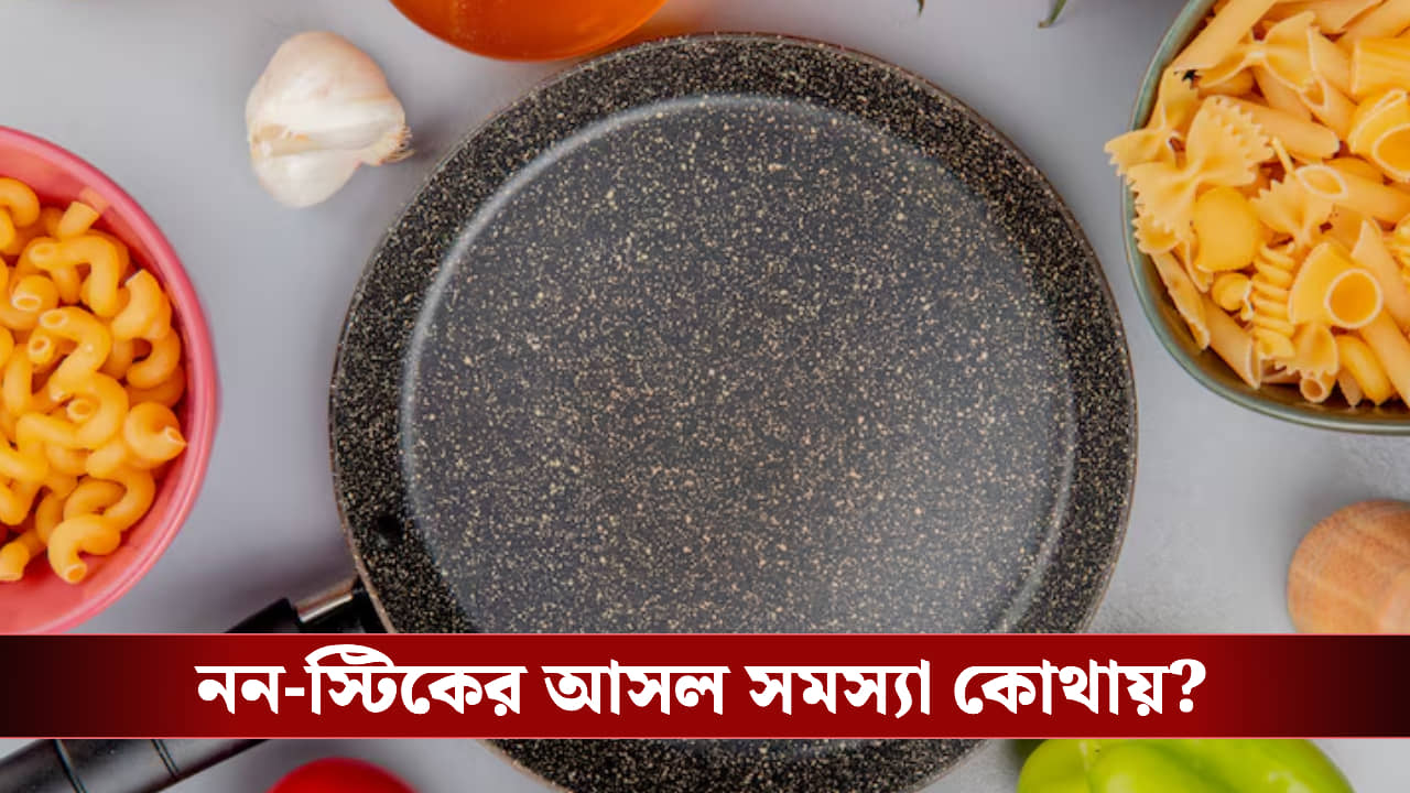নন স্টিকে রান্না করছেন? আজই জানুন কত বড় সর্বনাশ  হচ্ছে!