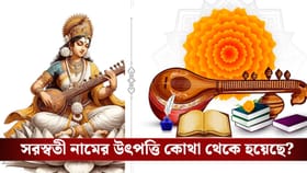 জানেন কেন সরস্বতীকে বিদ্যার দেবী বলা হয়?