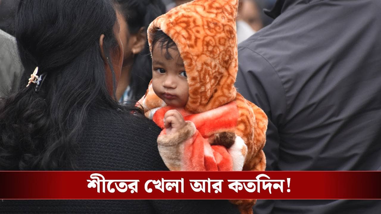 West Bengal Weather: দিনের আবহাওয়ায় ভুলবেন না, রাত হলেই পাল্টি খাবে...! শীতের কী আপডেট দিল আলিপুর