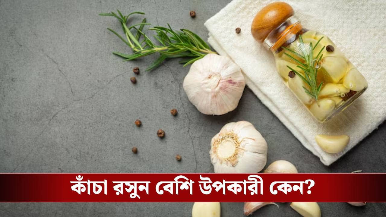 রান্নাঘরের রসুনই কি হতে পারে সুস্থ থাকার চাবিকাঠি? কী বলছে গবেষণা?