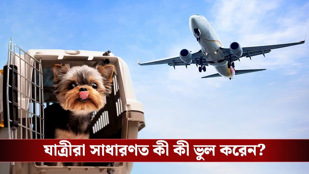 প্রিয় পোষ্যকে নিয়ে বিমানে উঠবেন? সঠিক নিয়ম না জানলেই বিপদ! প্রিয় পোষ্যকে নিয়ে বিমানে উঠবেন? সঠিক নিয়ম না জানলেই বিপদ!