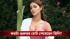 হাতে চোট পেলেন অনন্যা পান্ডে! আচমকা কী হল অভিনেত্রীর?