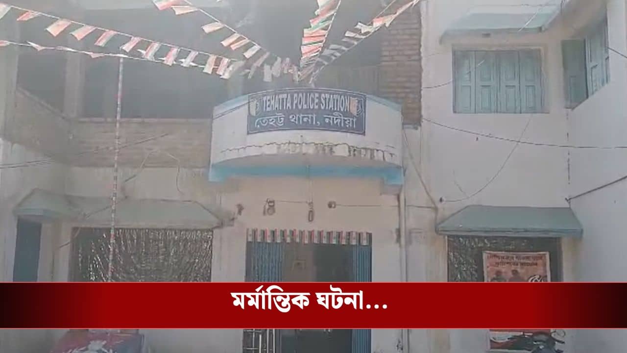 Nadia: যাত্রী নিয়ে বেরিয়ে বচসা, গণপিটুনিতে টোটোচালকের মৃত্যুর অভিযোগ