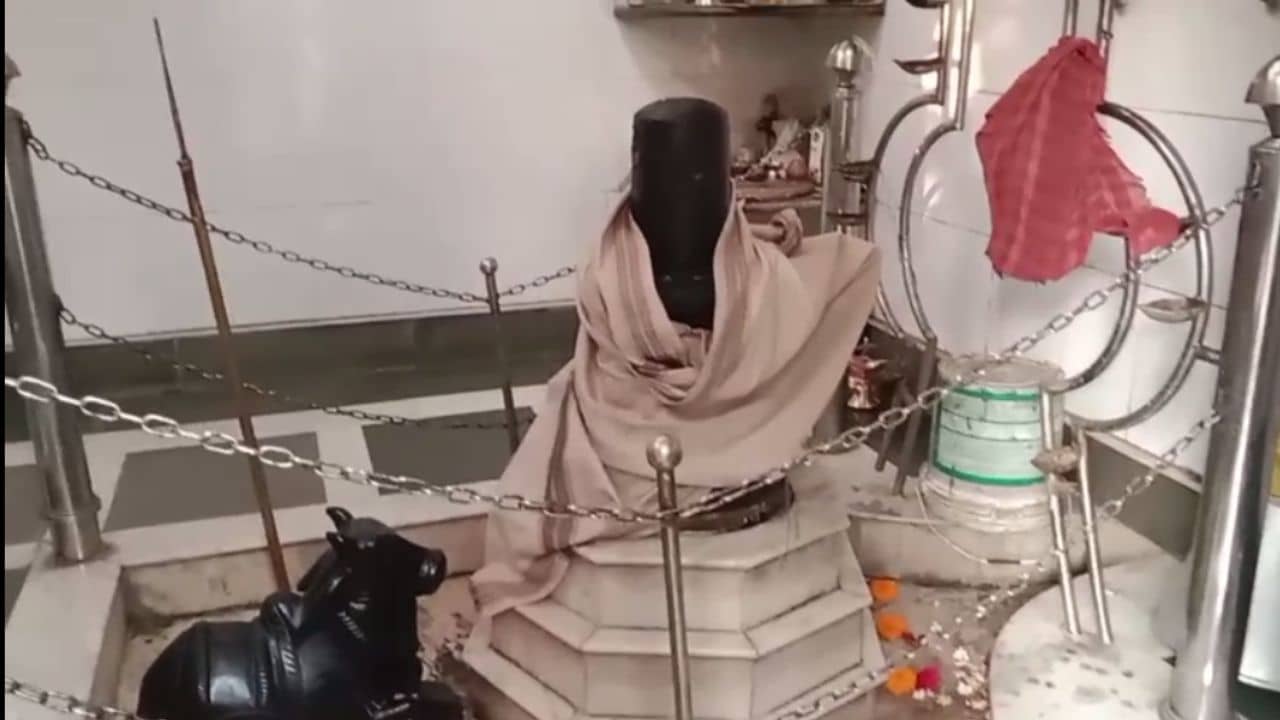 Nadia: রাতেও সব ঠিক ছিল, ভোরবেলা মহাদেবের এই রূপ দেখে স্তম্ভিত সকলে