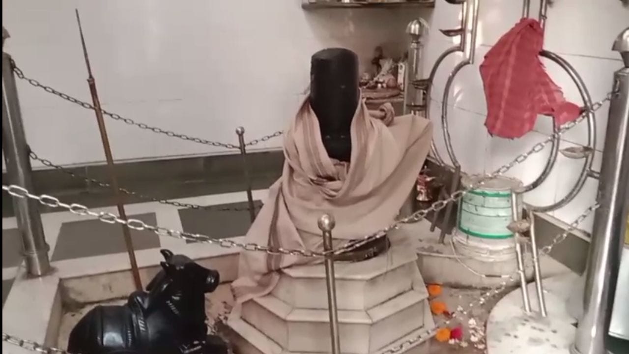 Nadia: রাতেও সব ঠিক ছিল, ভোরবেলা মহাদেবের এই রূপ দেখে স্তম্ভিত সকলে Nadia: রাতেও সব ঠিক ছিল, ভোরবেলা মহাদেবের এই রূপ দেখে স্তম্ভিত সকলে