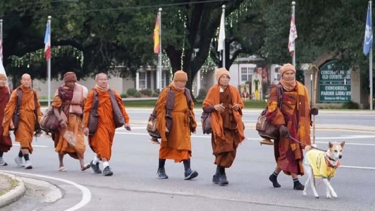 Aloka The Peace Dog: শান্তির বার্তা দিতে আমেরিকায় কলকাতার অলোকা