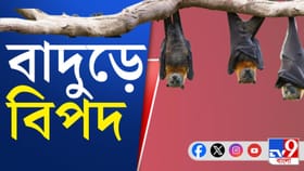 কীভাবে ছড়ায় নিপা ভাইরাস? সতর্কতা অবলম্বন করবেন কীভাবে?