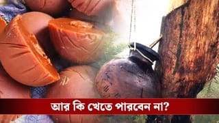 West Bengal Nipah Scare: খেজুর গুড় খেলে কি নিপা হবে? কী মত বিশেষজ্ঞদের?