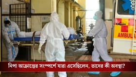 দুইজন আক্রান্ত, বাংলায় Nipah-র ঝুঁকি কতটা? এবার রিপোর্ট দিল WHO