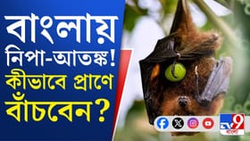 ভেন্টিলেশনে ২ নিপা আক্রান্ত, মমতাকে ফোন নড্ডার