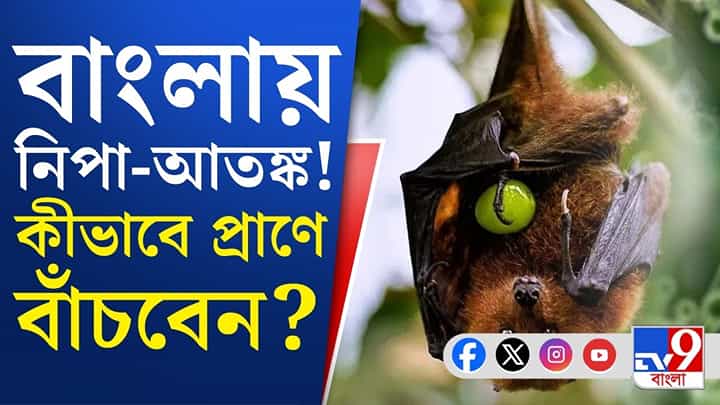 West Bengal Nipah Scare: ভেন্টিলেশনে ২ নিপা আক্রান্ত, মুখ্যমন্ত্রী মমতাকে ফোন কেন্দ্রীয় স্বাস্থ্যমন্ত্রীর! West Bengal Nipah Scare: ভেন্টিলেশনে ২ নিপা আক্রান্ত, মুখ্যমন্ত্রী মমতাকে ফোন কেন্দ্রীয় স্বাস্থ্যমন্ত্রীর!