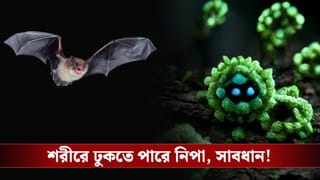 West Bengal Nipah Scare: ঘরে ঘরে থাকে, বাঙালির এই প্রিয় পানীয় দিয়েই শরীরে ঢুকছে ‘বাদুড়ে-নিপা’