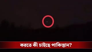 Pakistani Drone: মার খেয়েও শিক্ষা হয়নি, তলে তলে চলছে পাকিস্তানের শয়তানি! ফের পাক ড্রোন গুলি করে নামাল ভারতীয় সেনা