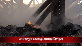 ১৪ বছরে কেবল ৩৫৯টা FIR-ই সার! আনন্দপুরের আগুনে বেআব্রু রামসার বিপন্নতা