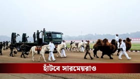 রাজপথে এবার সারমেয়দের 'রাজ', বড় সিদ্ধান্ত প্রতিরক্ষা মন্ত্রকের