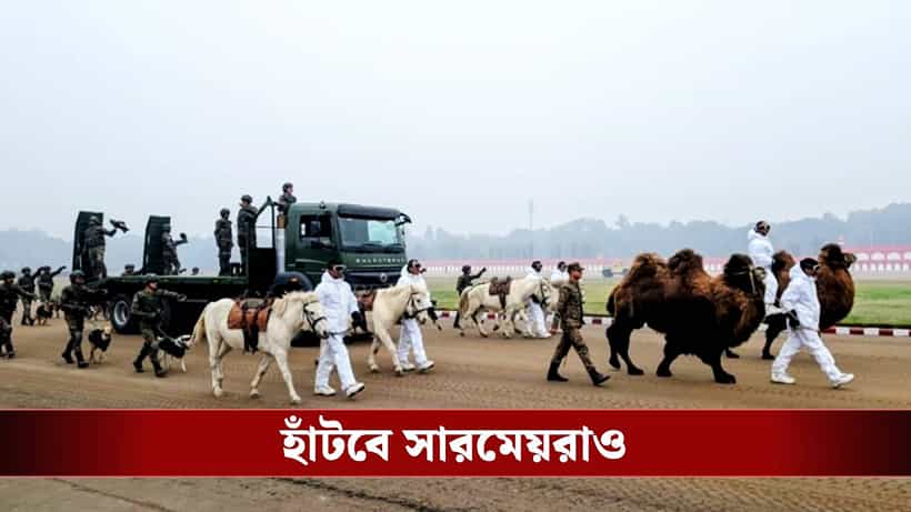 Republic Day Parade 2026: রাজপথে এবার সারমেয়দের রাজ, বড় সিদ্ধান্ত প্রতিরক্ষা মন্ত্রকের