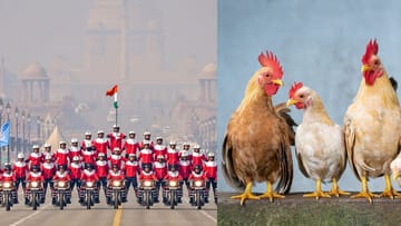 Republic Day 2026: প্রজাতন্ত্র দিবসের নিরাপত্তা নিশ্চিত করবে ১২৭০ কেজি বোনলেস চিকেন! কীভাবে জানেন?