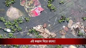 নদীতেই ভেসে আসে মানুষের কঙ্কাল, স্থানীয় বাসিন্দারা যা বললেন...