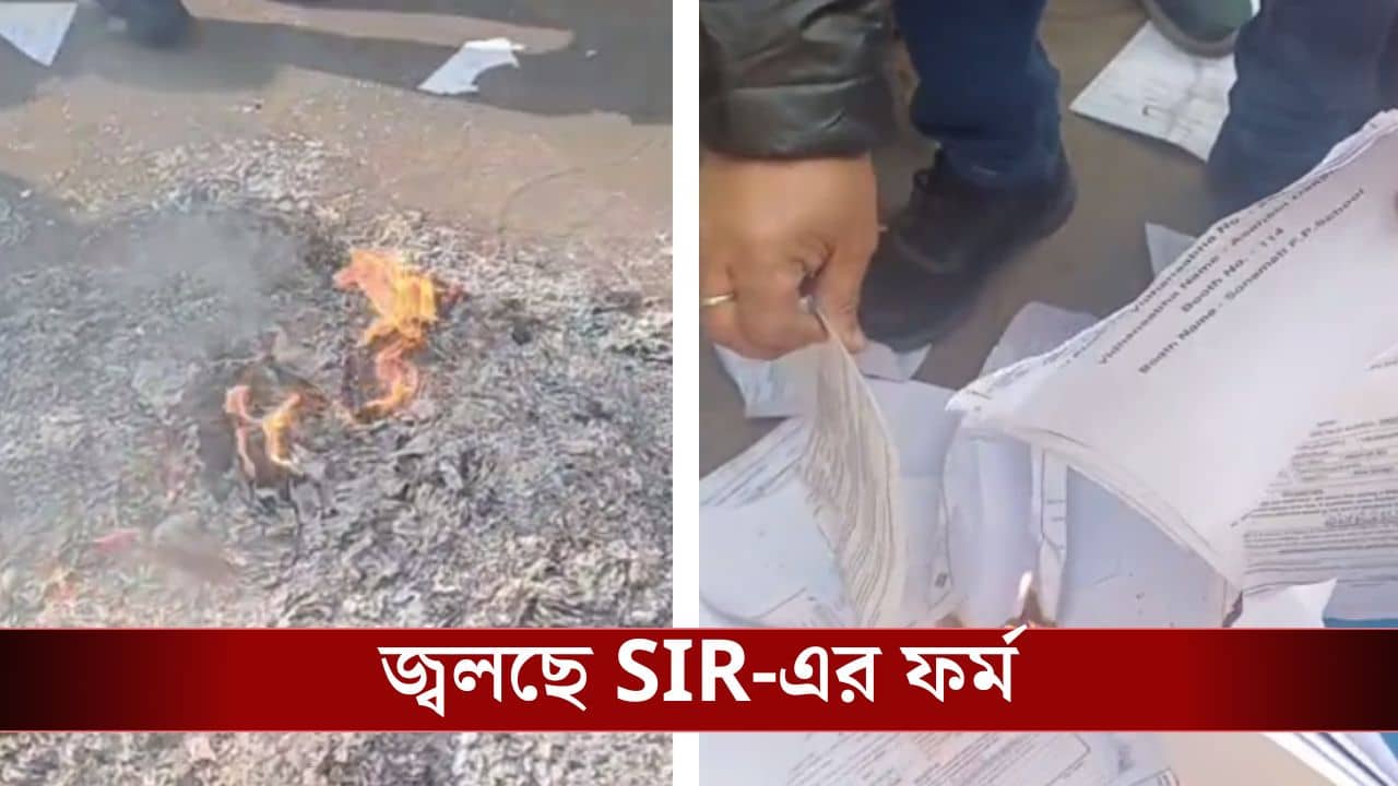 SIR Form 7 chaos: জেলায়-জেলায় রবীন্দ্র-সংগীতের সঙ্গে ডিজে বাজানো শুরু করল তৃণমূল