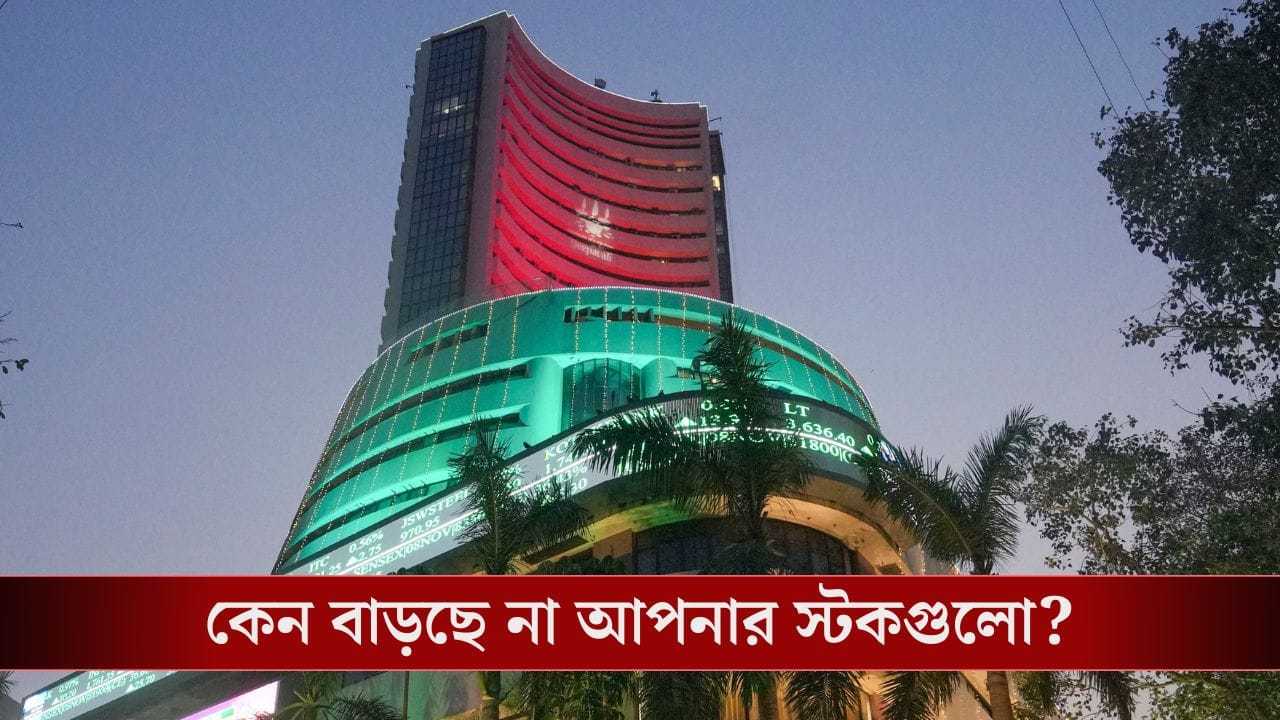 বেড়েছে সেনসেক্স, তারপরও বাড়ছে না আপনার স্টকগুলো! আপনার পোর্টফোলিওতে ঠিক কোথায় সমস্যা?